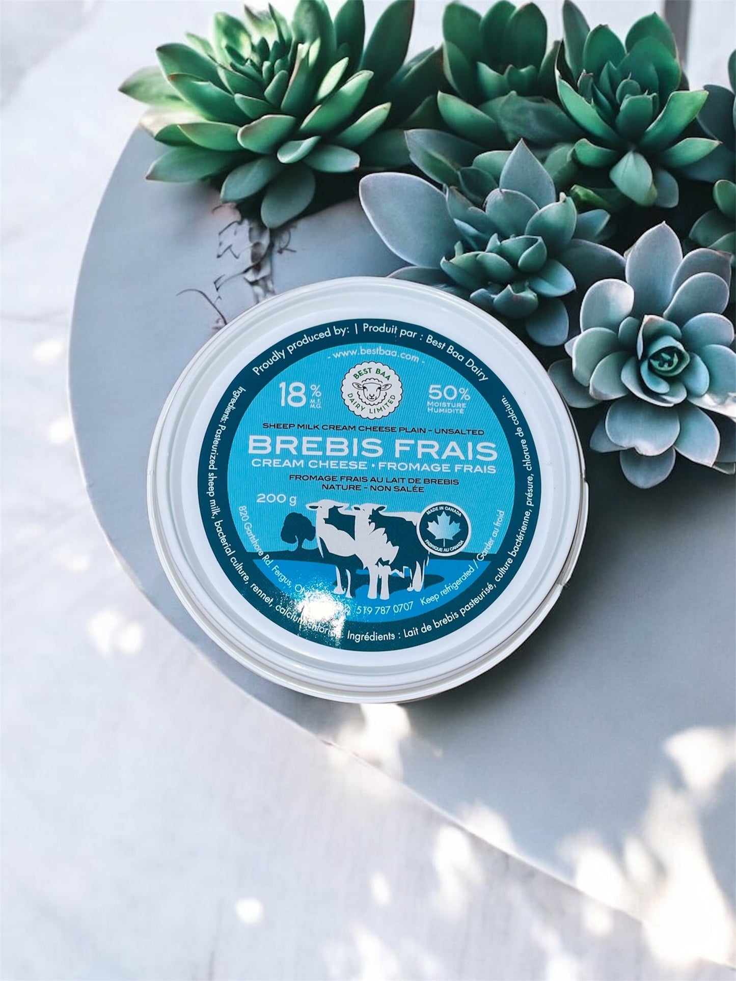 200g Plain Brebis Sheep Cheese (spreadable)