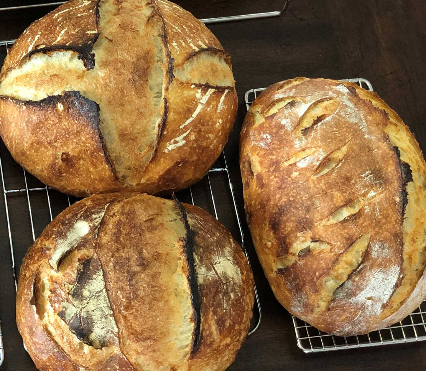 Organic Sourdough Bread