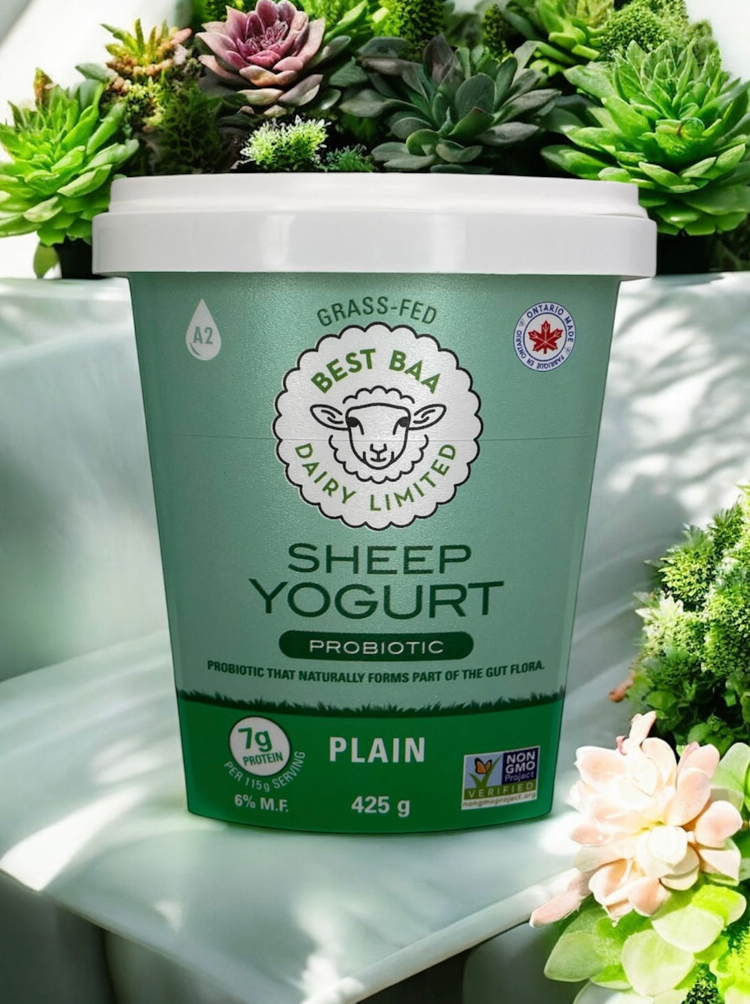 425g Plain Sheep Yogurt