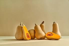 Organic Squash - Honey Patch