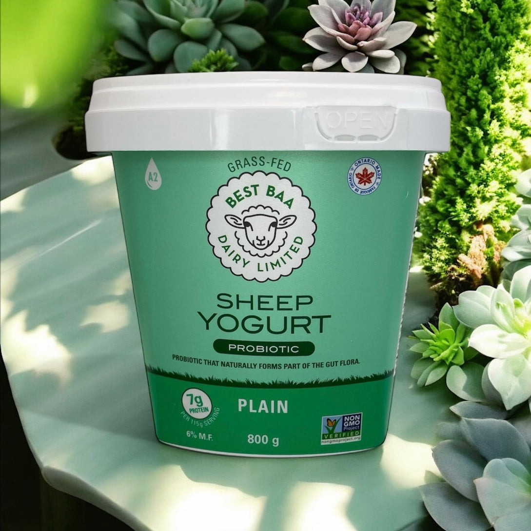 800g Plain Sheep Yogurt