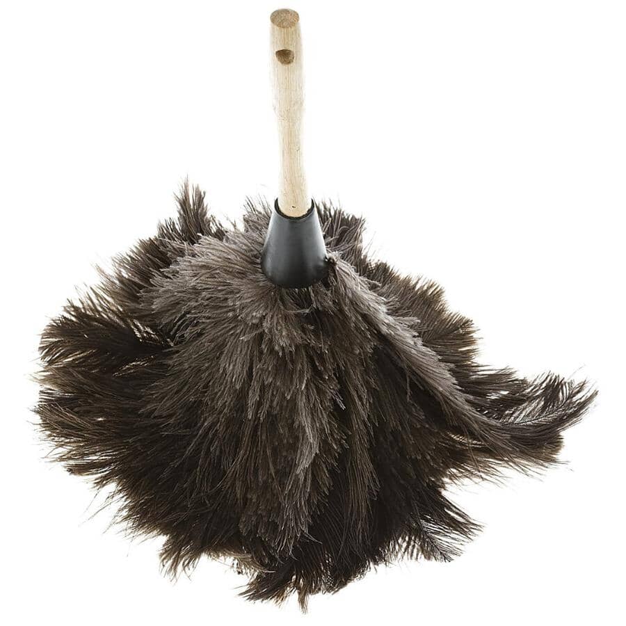 Ostrich feather duster
