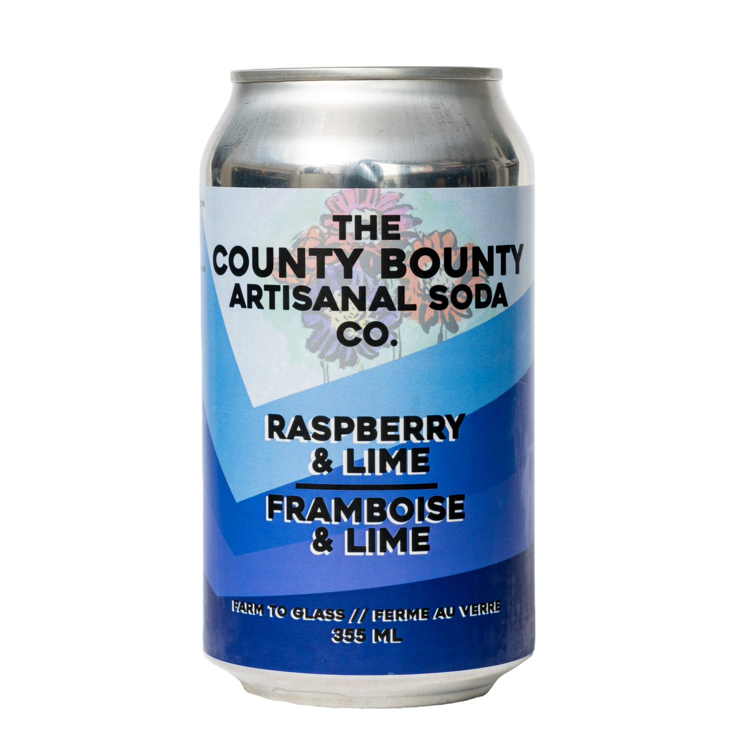 Raspberry Lime Soda - 4 pack