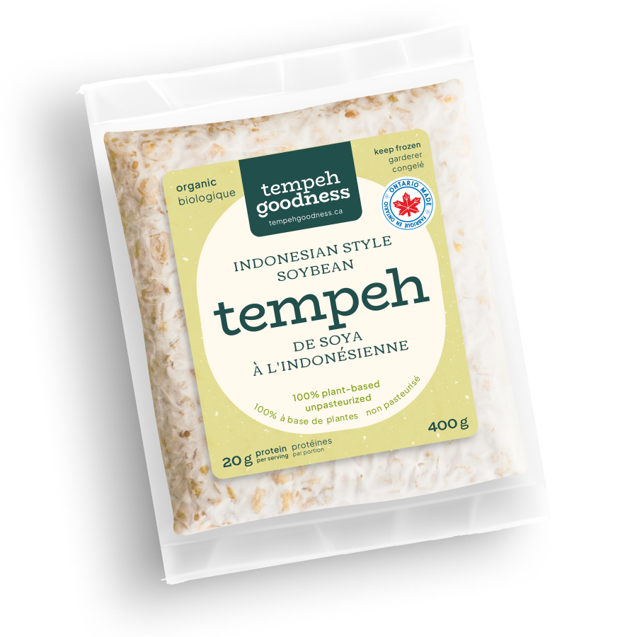 Soy Tempeh (Indonesian style)