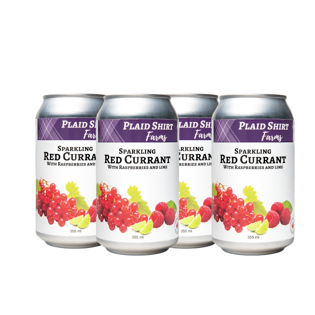 Plaid Shirt Farms Red Currant with Raspberry & Lime – Sparkling Beverage – 4 x 355 ml