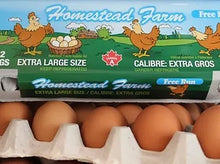 Homestead Extra Large Free Run - 1 dozen