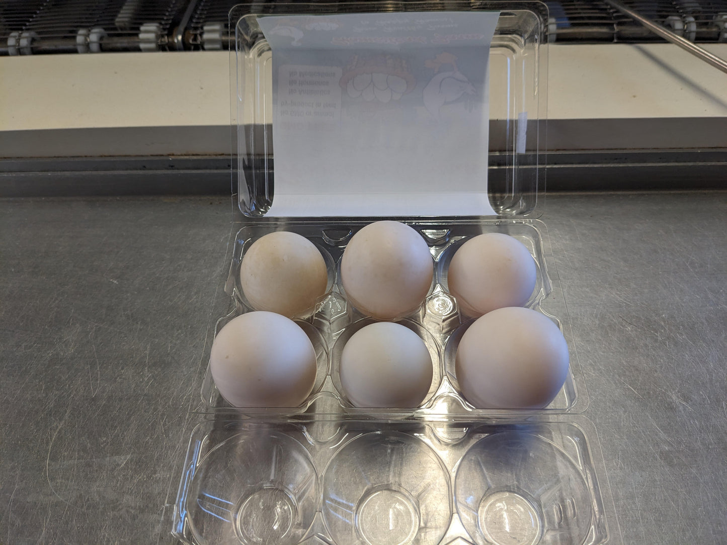Duck Eggs