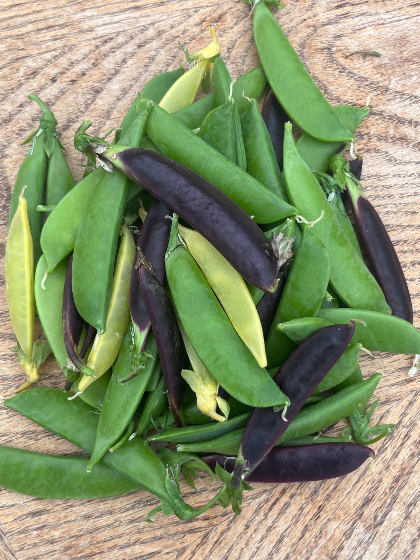 Organic Peas - Sugar Snap