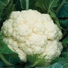 Organic Cauliflower - White