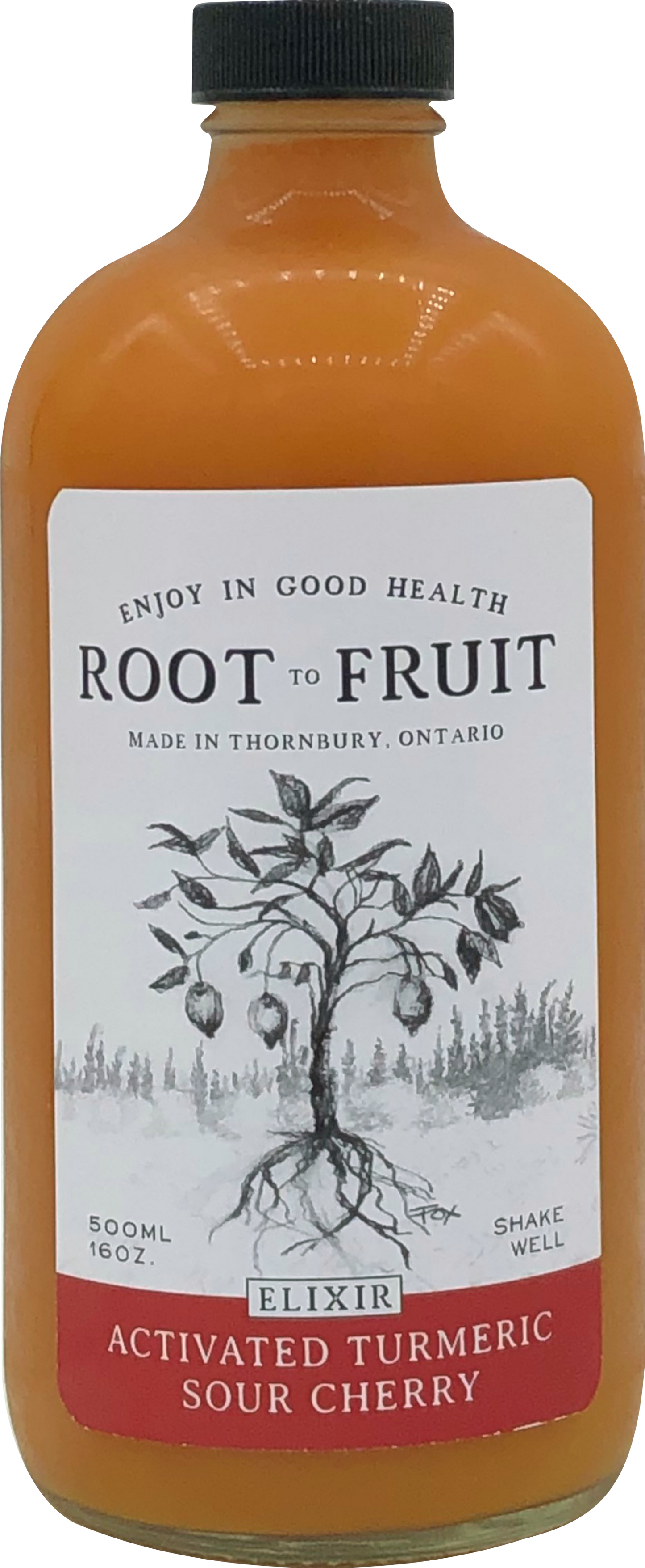 Root to Fruit Activated Turmeric Ginger Sour Cherry