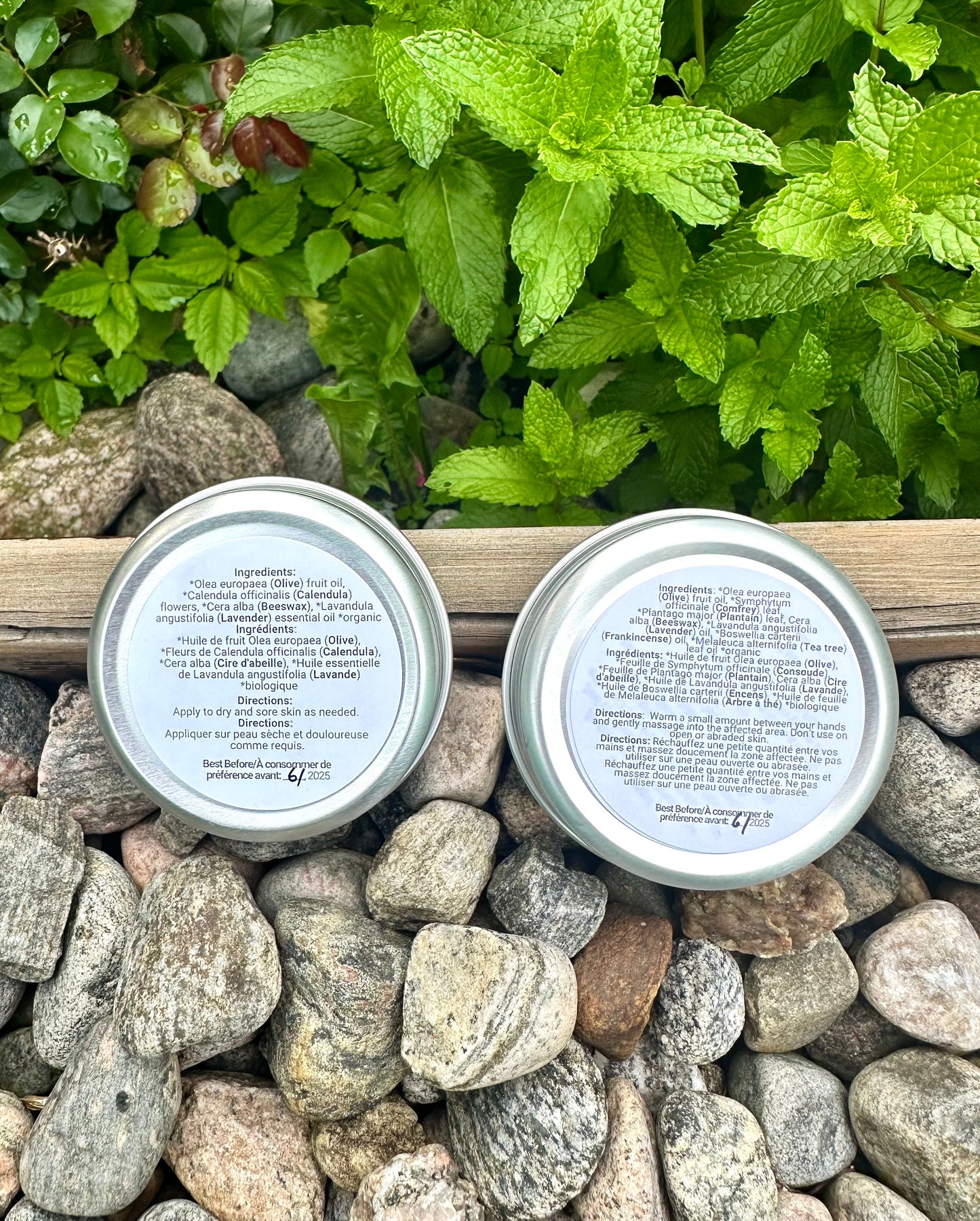 Herbal Salve Duo Set