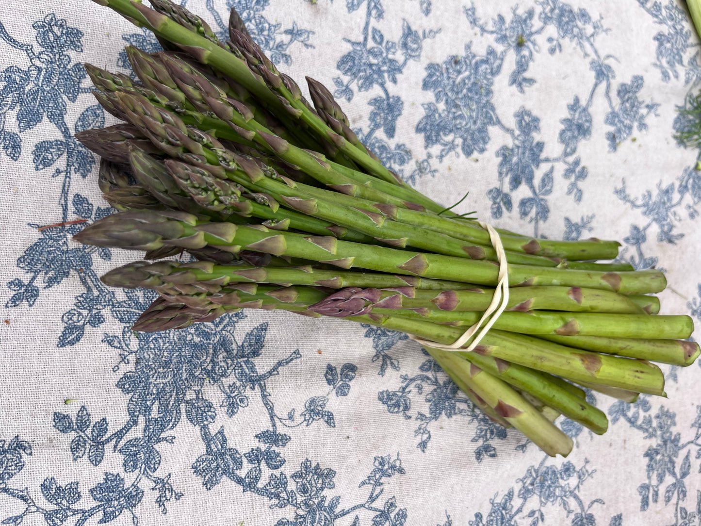 Organic Asparagus