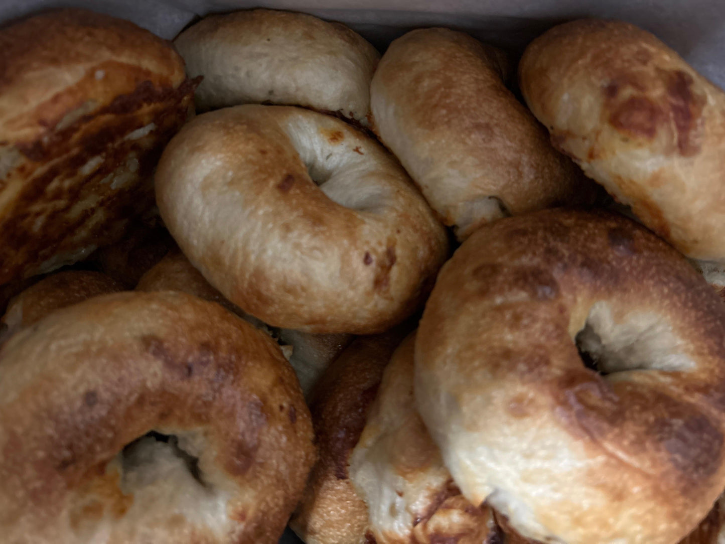 Cheddar and Chive Sourdough Bagels