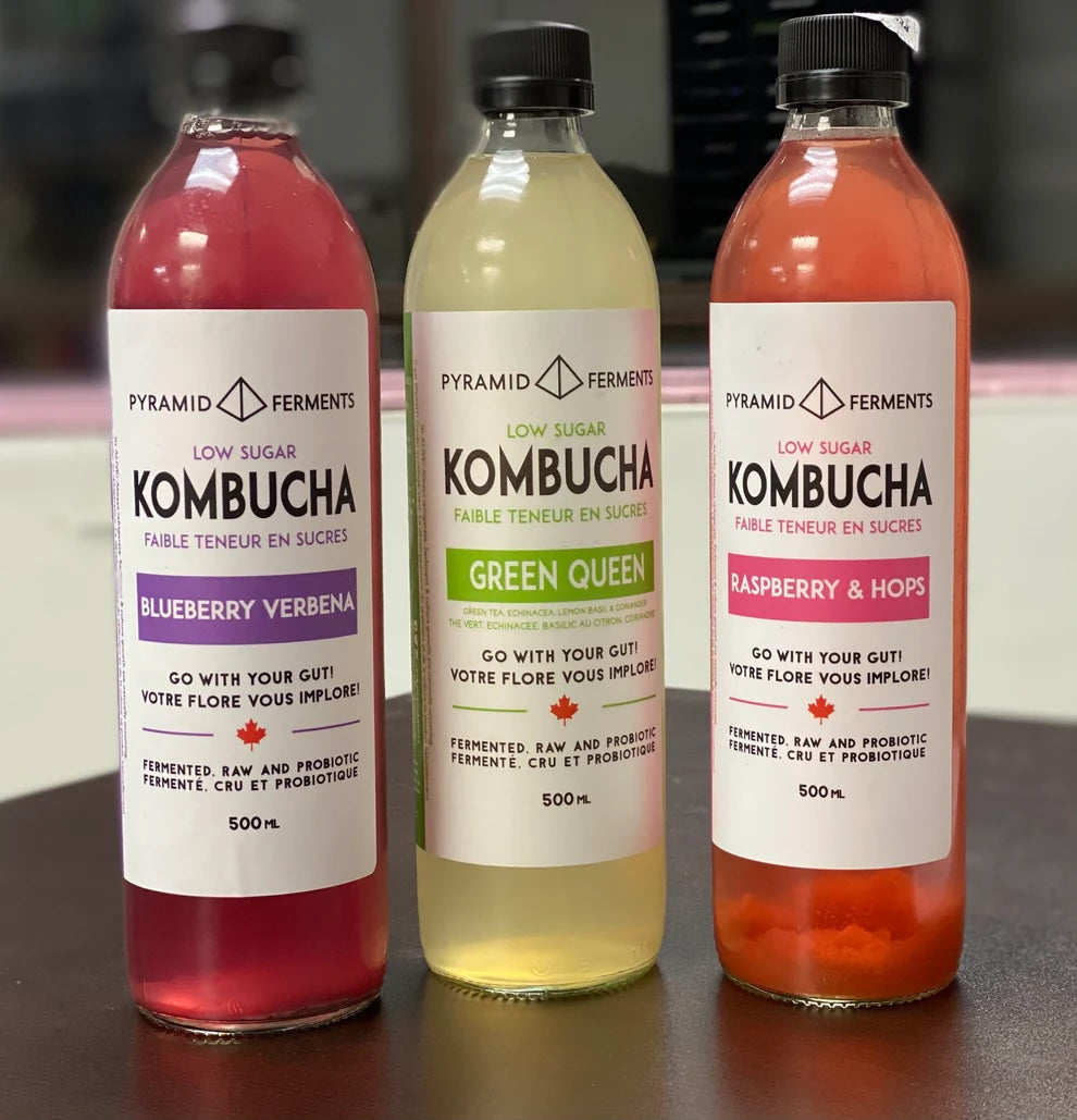 Kombucha Variety Pack - Case of 12