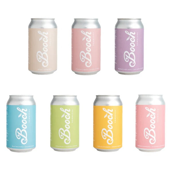 Booch Can Single Flavour 6-pack