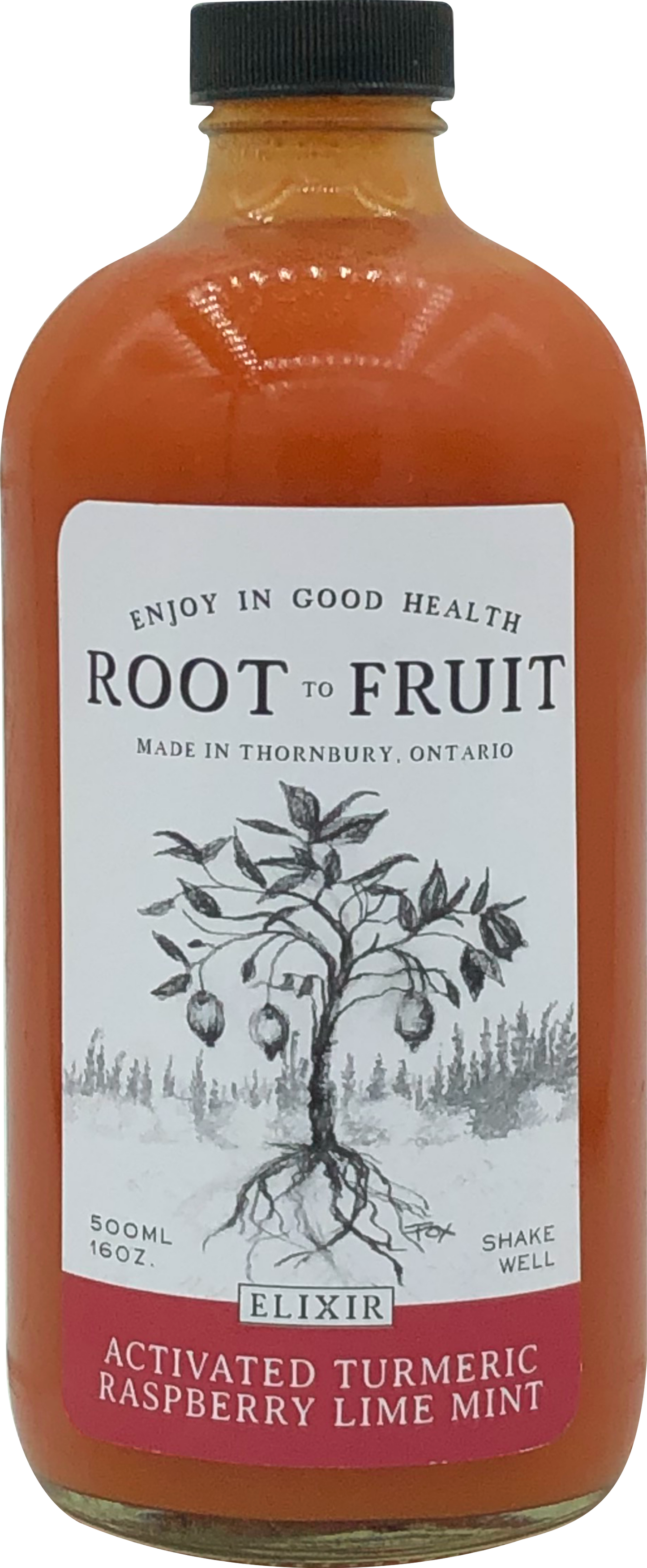 Root to Fruit Activated Turmeric Ginger Raspberry Lime Mint