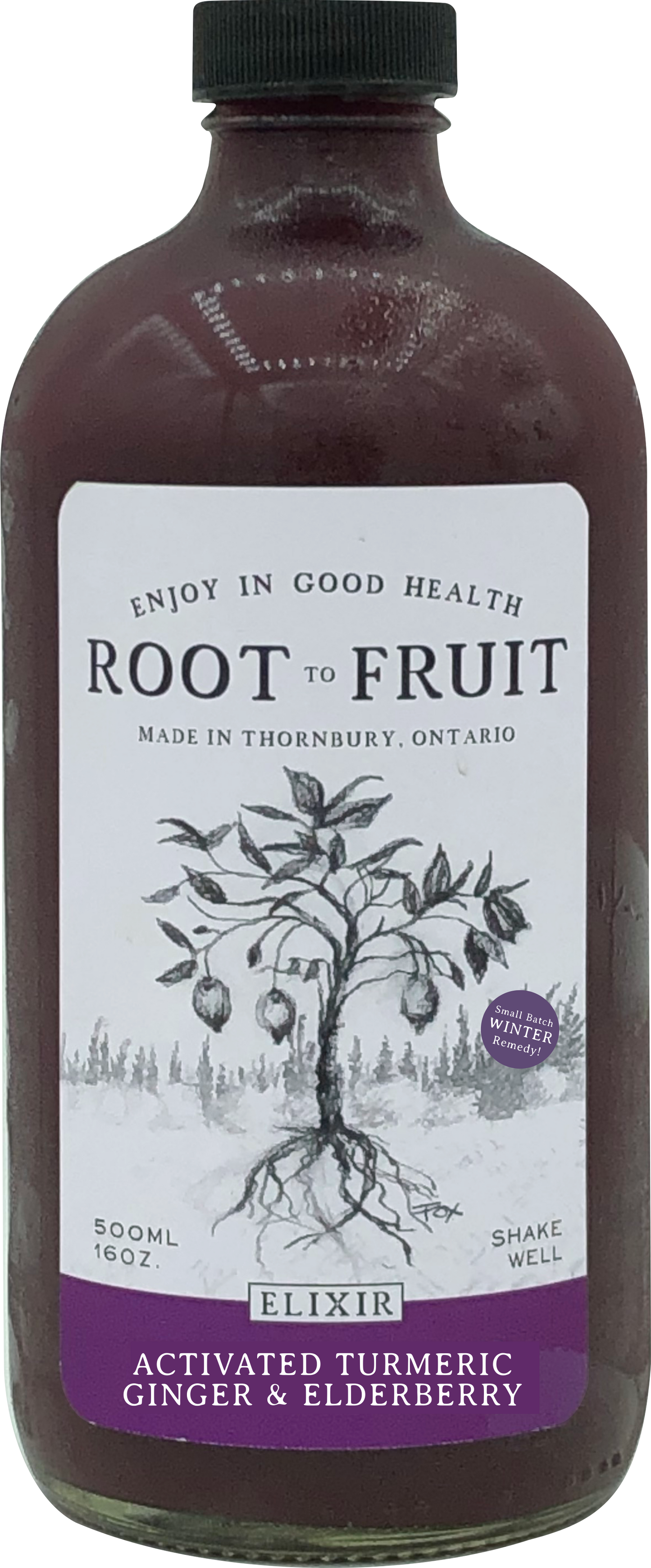 Root to Fruit Activated Turmeric Ginger Elderberry