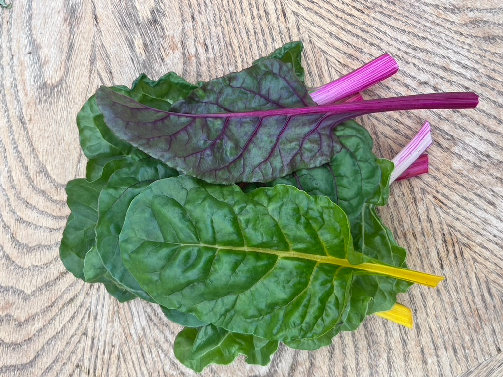 Organic Greens - Baby Chard - Hand Picked Small leaves