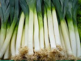 Organic Leeks - Large - Long