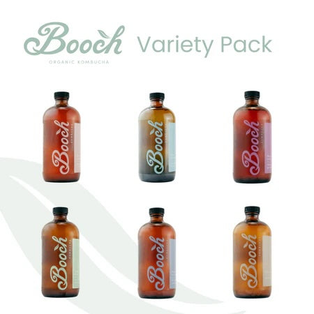 Booch Bottle Variety - 12-pack