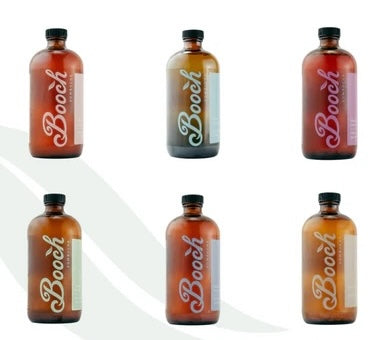 Booch Bottle Single Flavour 4-pack