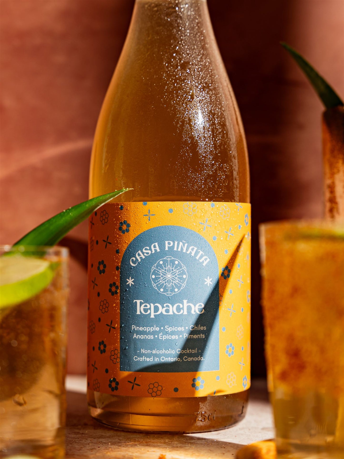Tepache Mocktail 375 ml