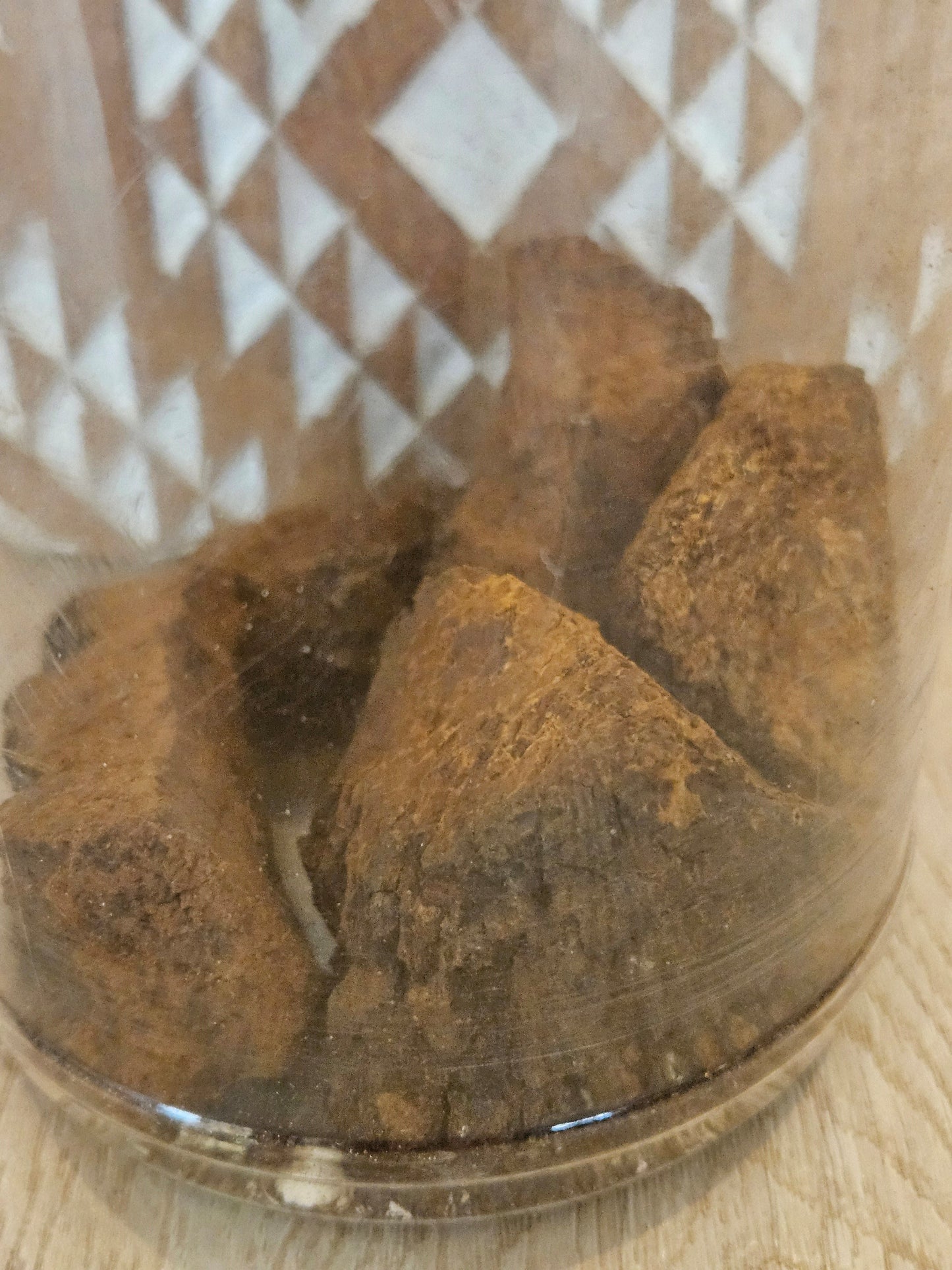 Chaga Dual Extract Tincture