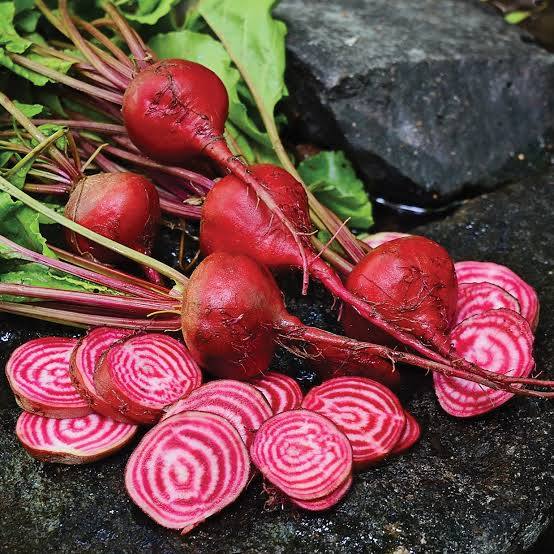 Organic Beets - Chioggia (Candy Cane)