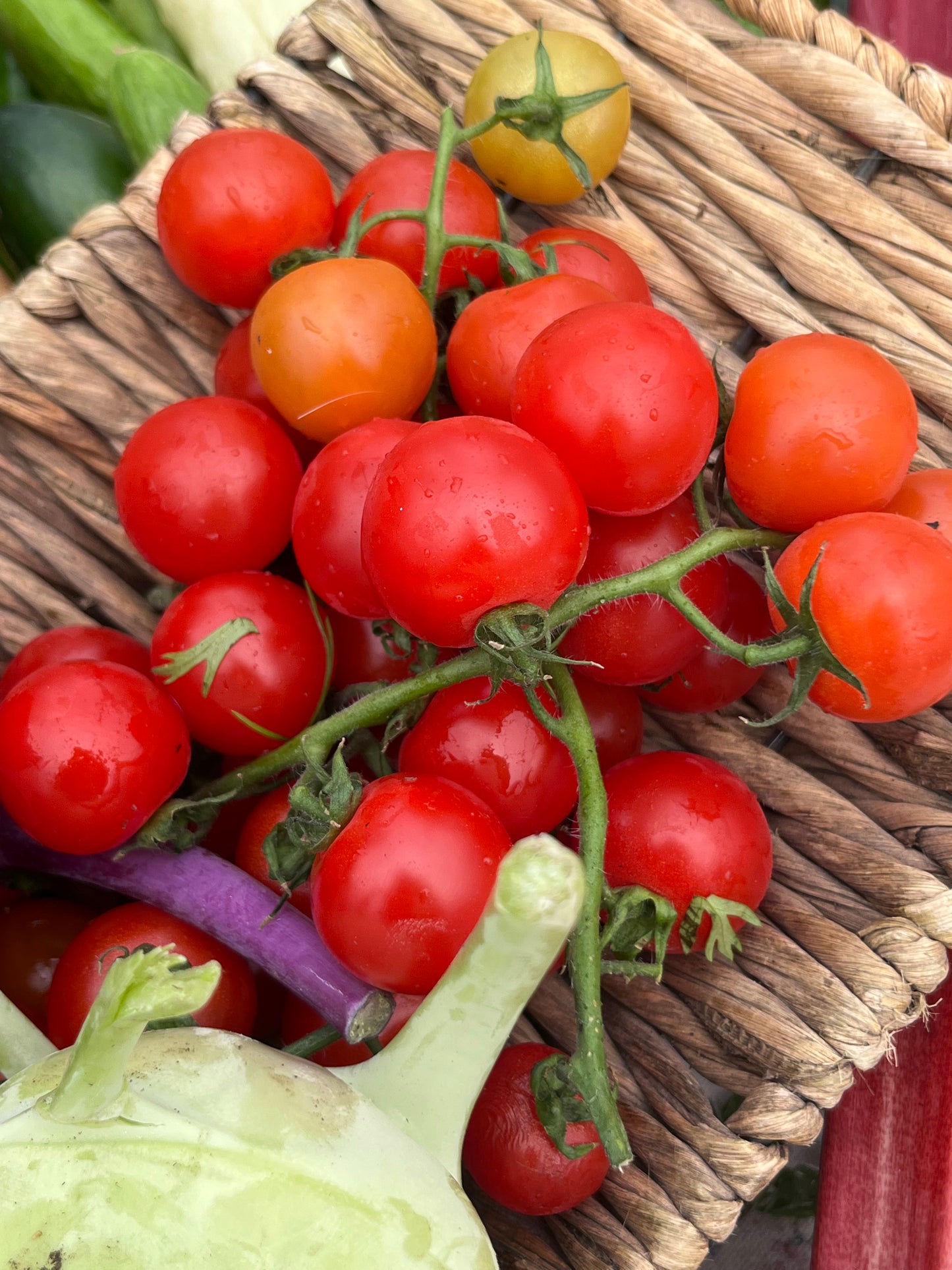 Organic Tomatoes -  Cherry