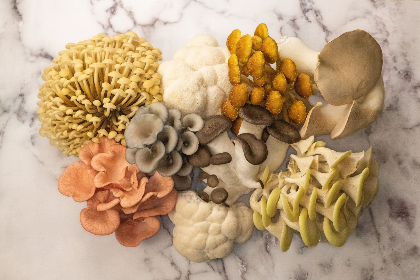 Mixed Mushrooms (Large 300g)