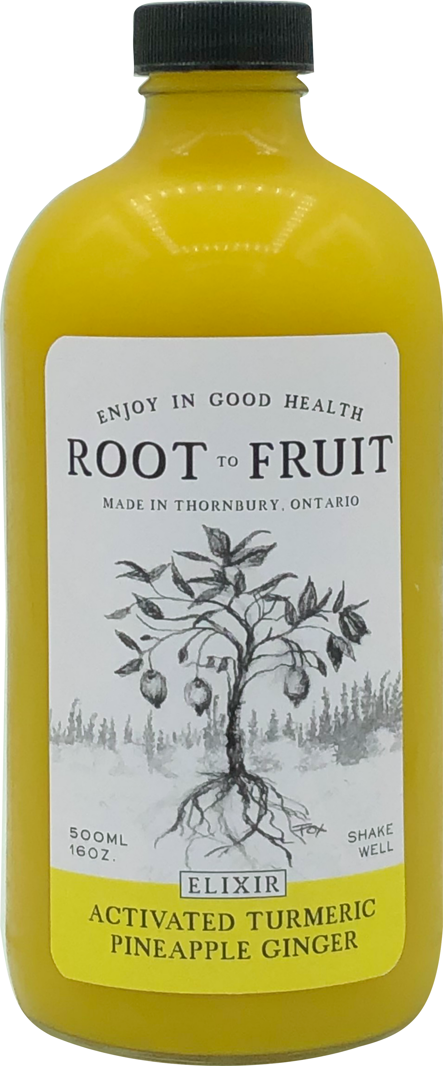 Root to Fruit Activated Turmeric Ginger Pineapple