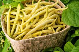 Organic Beans - Yellow - 1b