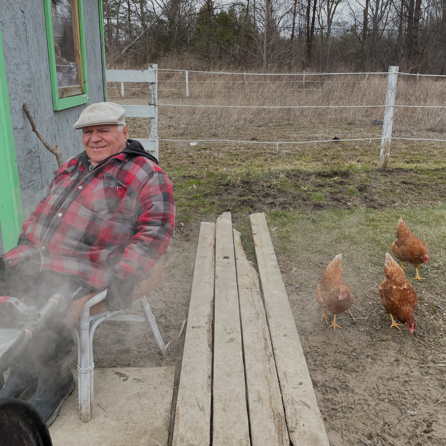 Large Free Range Eggs