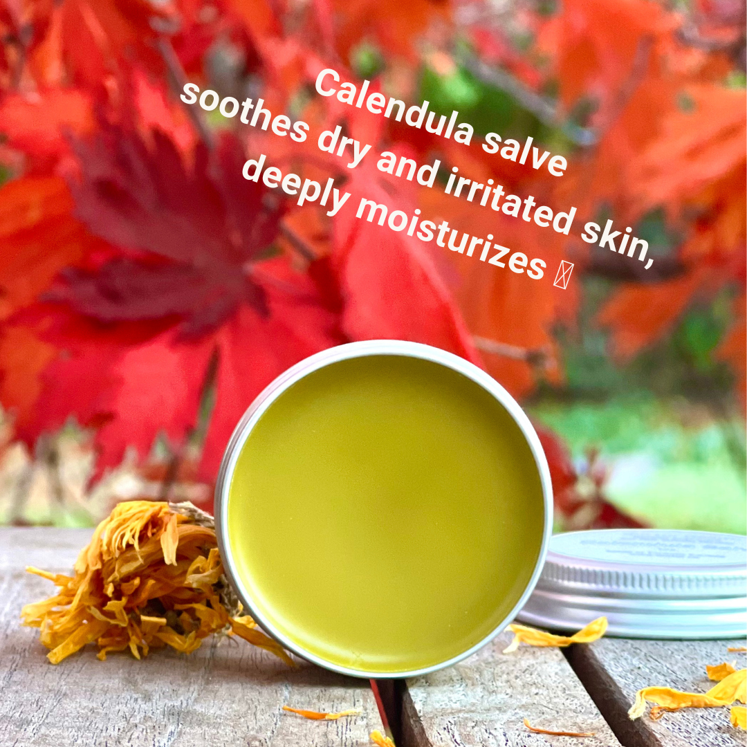 Herbal Salve Duo Set