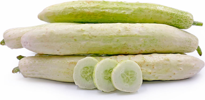 Japanese White Cucumber