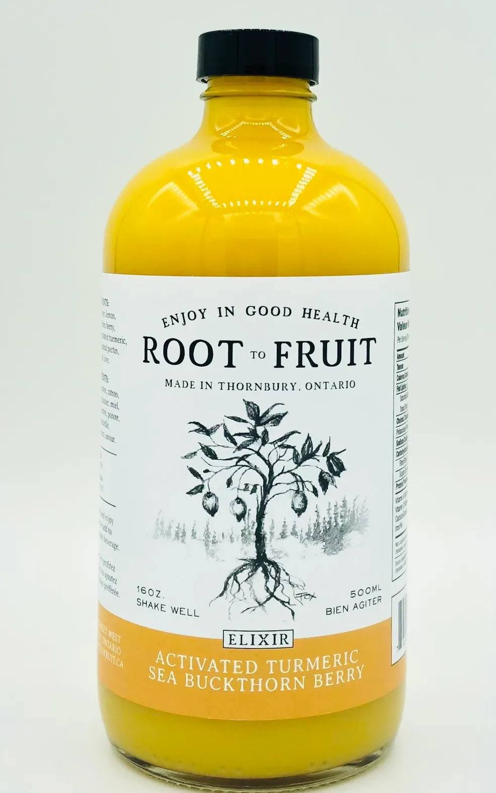 Root to Fruit Activated Tumeric and Sea Buckthorn Berry
