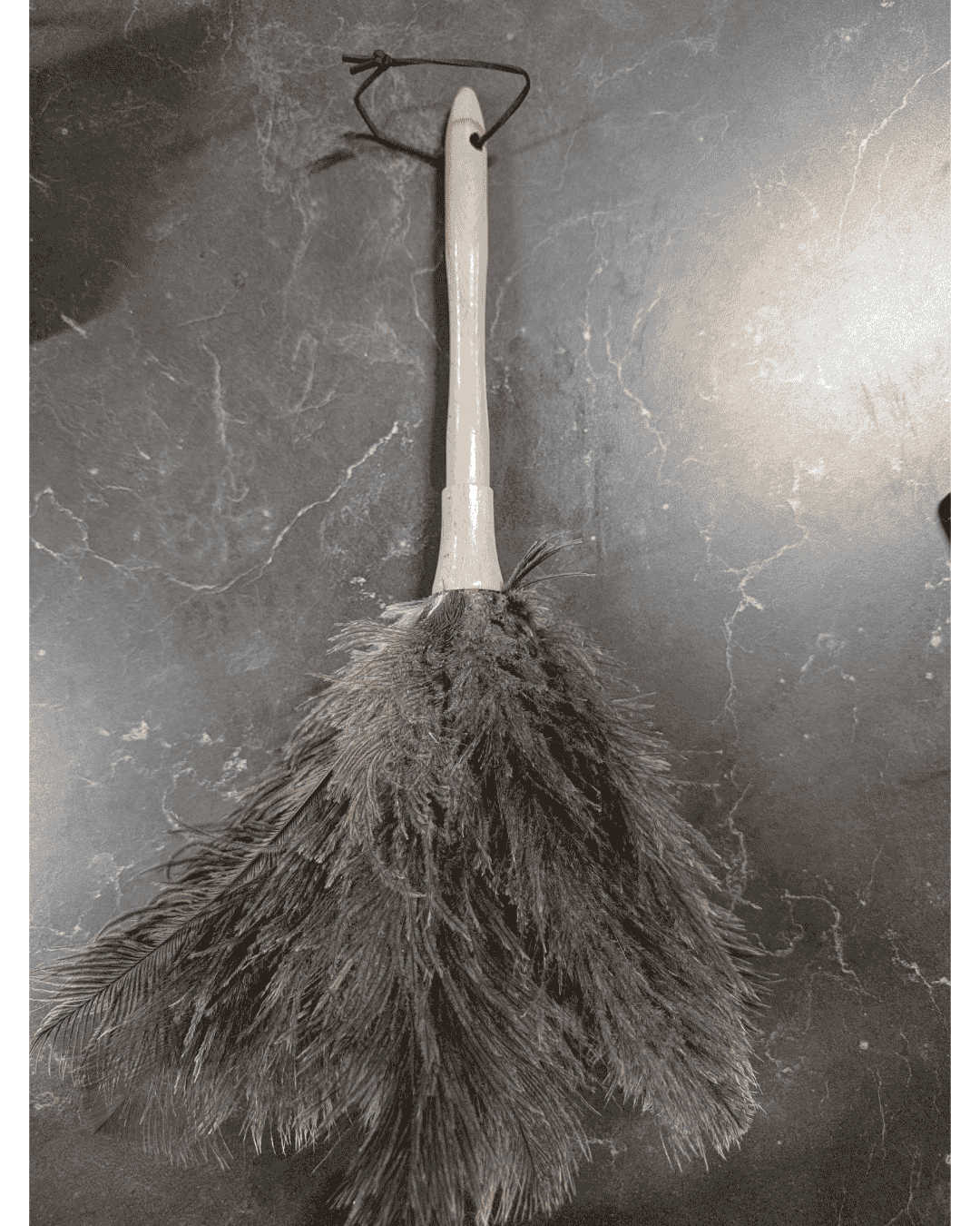 Ostrich feather duster