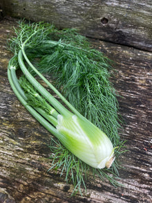 Organic Fennel - Baby - Each