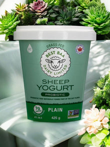 Plain Sheep Yogurt