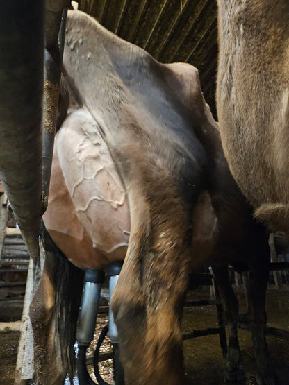 Unhomogenized Milk