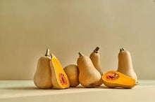 Organic Squash - Honey Patch