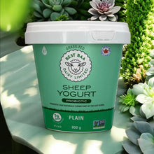 Plain Sheep Yogurt