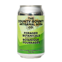 Foraged Botanicals Soda