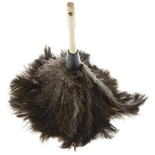 Ostrich feather duster