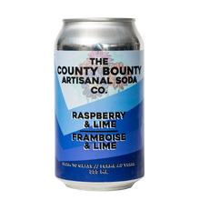 Raspberry Lime Soda - 4 pack