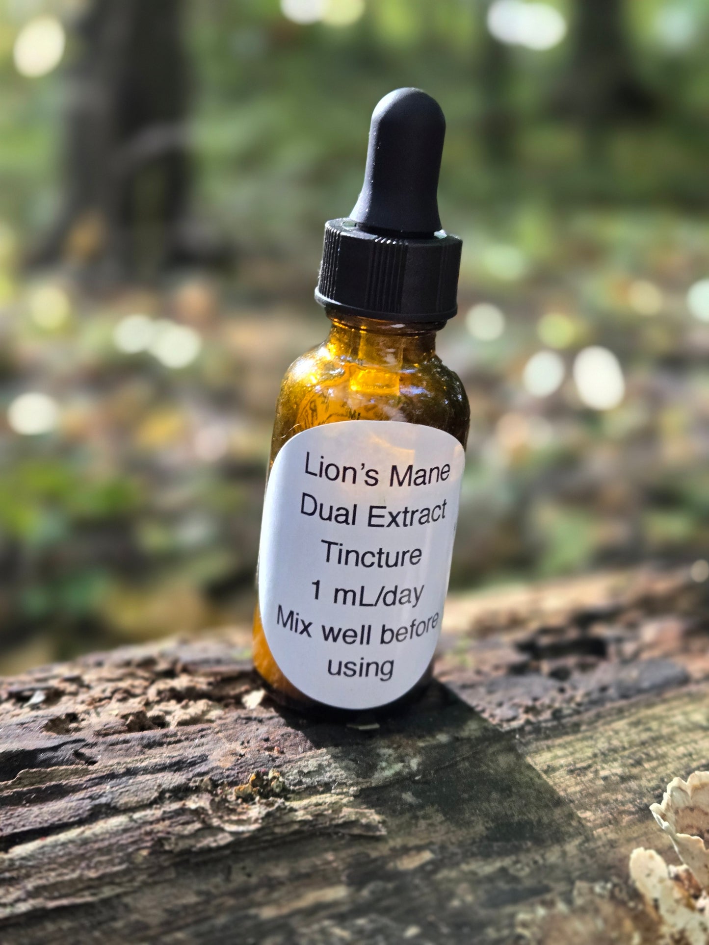 Dual Extract Lion's Mane Mushroom Tincture