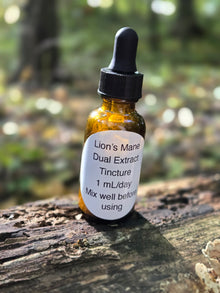 Dual Extract Lion's Mane Mushroom Tincture