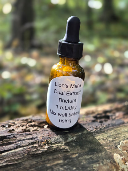 Dual Extract Lion's Mane Mushroom Tincture
