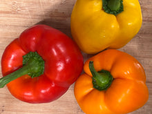 Organic Peppers - Bell - Red