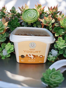 500g Maple Sheep Yogurt - ON SALE! (reg $8.10)